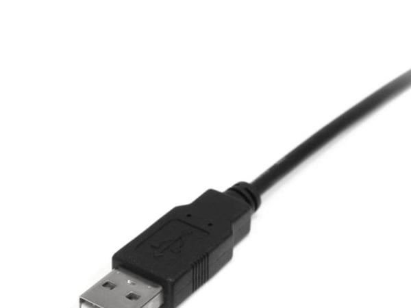 StarTech 2m Mini USB 2.0 Cable A to Mini B M/M - USB-kabel - USB (hann) til mini-USB type B (hann) - USB 2.0 - 2 m - svart