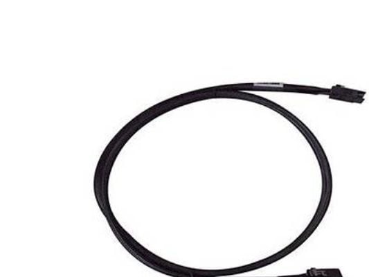 Intel - Intern SAS-kabel - 36 stifts 4i Mini MultiLane (hane) till 36 stifts 4i Mini MultiLane (hane) - 73 cm (paket om 2) - för Server System R220...