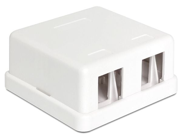 Delock Keystone Surface Mounted Box - Chassi med modulär insättning - vit - 2 portar