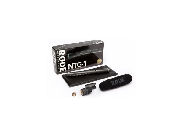 NTG1