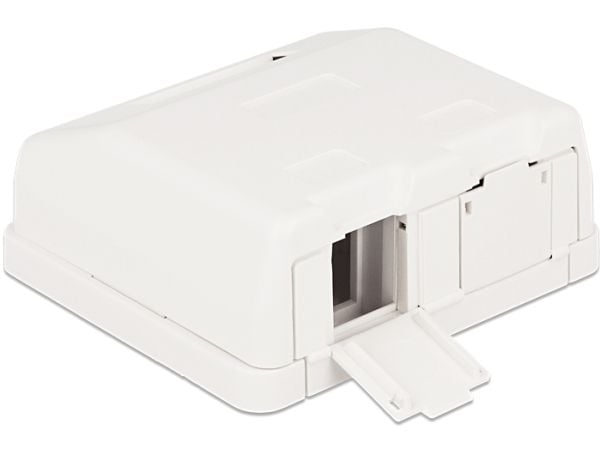 Delock Keystone Surface Mounted Box - Chassi med modulär insättning - vit - 2 portar