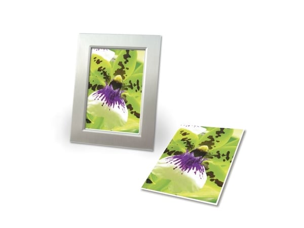 Avery Zweckform Premium Inkjet A4 250g - A4 - Satin Matt (2559-20)