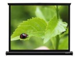 Grandview Table Top Portable Screen PT-U40 - Projisointinäyttö - 40" (102 cm) - 4:3 (4:3)