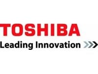 Toshiba A000296140, Overtrekk, Toshiba