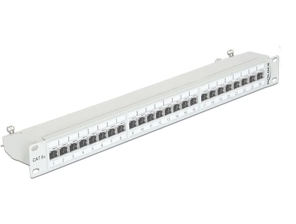 Delock - Koblingspanel - CAT 6a - RJ-45 X 24 - lysegrå, RAL 7035 - 1U - 19"