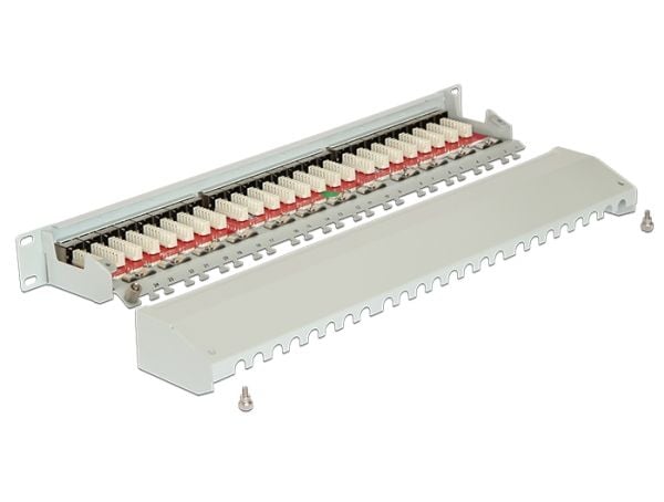 Delock - Koblingspanel - CAT 6a - RJ-45 X 24 - lysegrå, RAL 7035 - 1U - 19"