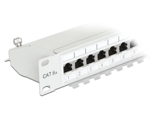 Delock - Koblingspanel - CAT 6a - RJ-45 X 24 - lysegrå, RAL 7035 - 1U - 19"