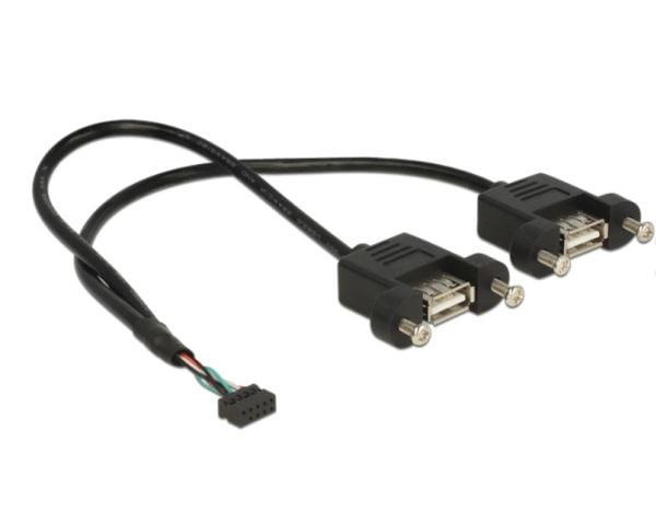 Delock - Intern-til-ekstern USB-kabel - 10-pins USB-kontakt (hunn) til USB (hunn) - 25 cm - svart