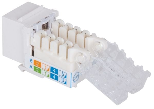 Intellinet 790758, Tasainen, Valkoinen, RJ-45, Naaras, Kulta, 22/26
