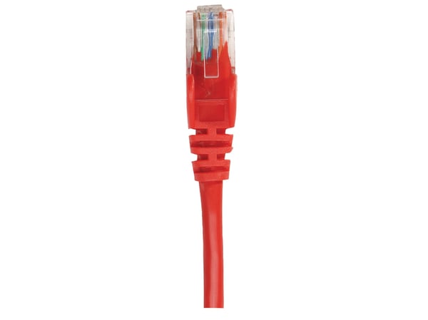 Intellinet 739801, 0,25 m, Cat6, S/FTP (S-STP), RJ-45, RJ-45, Rød