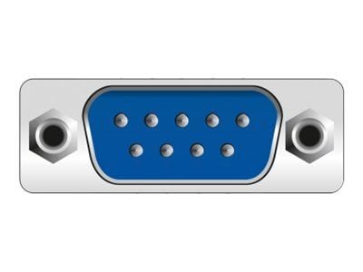 Delock - USB / seriell-kabel - USB-C (hann) til DB-9 (hann) - 15 cm - svart