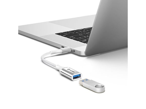 Alogic Super Ultra - USB-adapteri - USB-C (han) til USB Type A (hun) - USB 3.1 Gen 1 - 3 A - 15 cm - sølv - sølv
