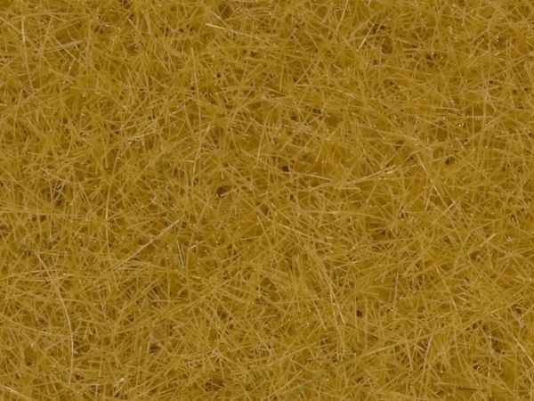 NOCH 8362, beige