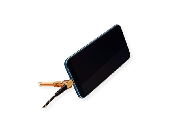 ROLINE 11.02.8920, 1 m, USB A, USB C, USB 2.0, 0,48 Gbit/sek., svart, gull