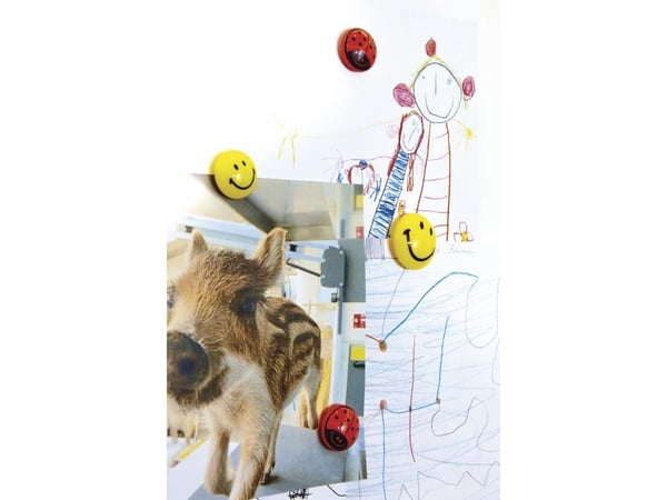 Magnetoplan 16673, Whiteboard-magnet, Sort, Gult, 4 stykker