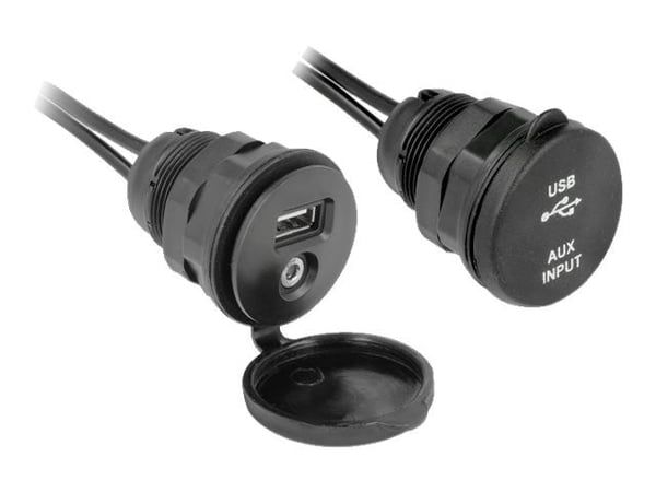 Delock - USB / audio extension cable - USB, minijakk (hann) til USB, minijakk (hunn) - 2 m - svart