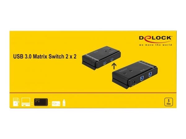 Delock USB 3.0 Matrix Switch 2 x 2 - USB-periferdelesvitsj - stasjonær - AC 100 - 240 V