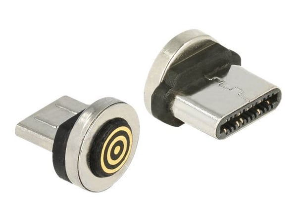 DeLOCK Magnetic - USB-liitin - USB-C (han)