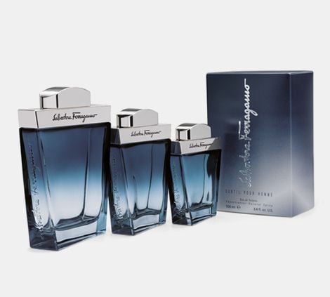 Salvatore Ferragamo Subtil pour Homme Eau De Toilette 100 ml (man)