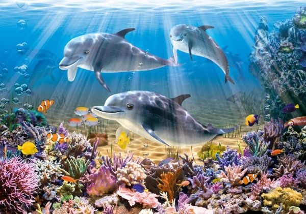 Castorland Dolphins Underwater 500 pcs, 500 stykker, Flora og fauna, 9 år