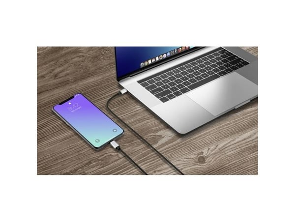 Renkforce RF-4353446, 1 m, Lightning, USB C, Hankjønn, Hankjønn, Svart