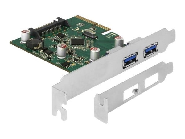 Delock - USB-adapter - PCIe 3.0 x4 lav profil - USB 3.1 Gen 2 x 2