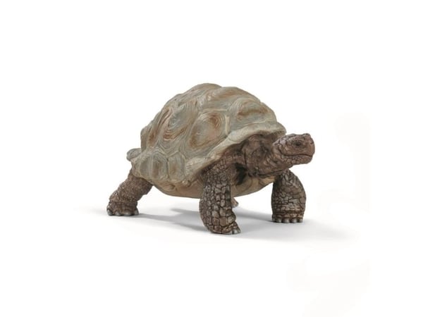 Schleich Wild Life - Giant tortoise