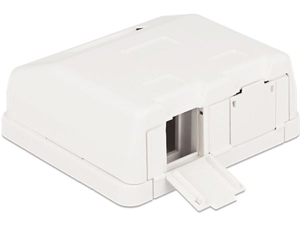 Delock Keystone Surface Mounted Box - Chassi med modulär insättning - vit - 2 portar