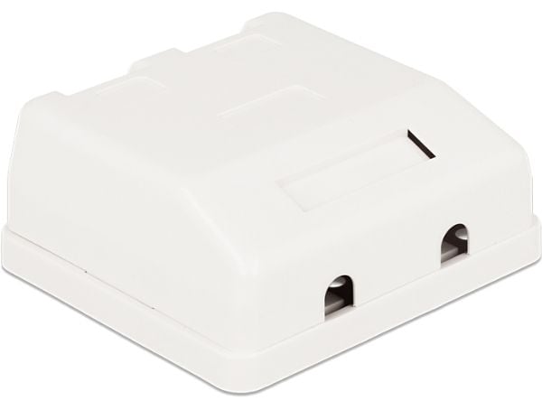 Delock Keystone Surface Mounted Box - Chassi med modulär insättning - vit - 2 portar