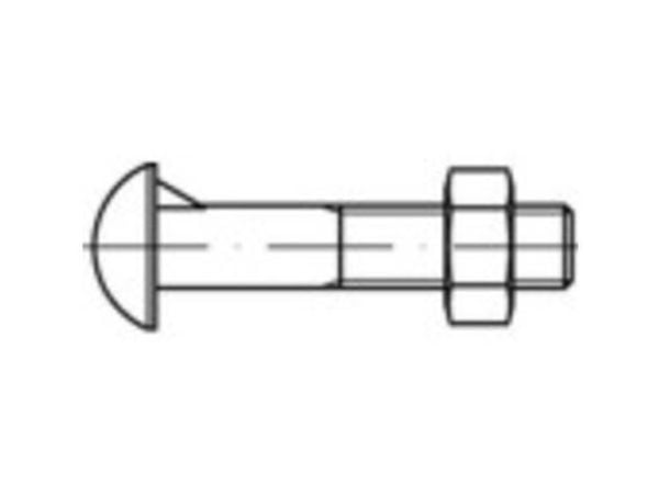 TOOLCRAFT 111770 halvrunde skruer med nese M16 45 mm utvendig sekskant DIN 607 stål 50 stk