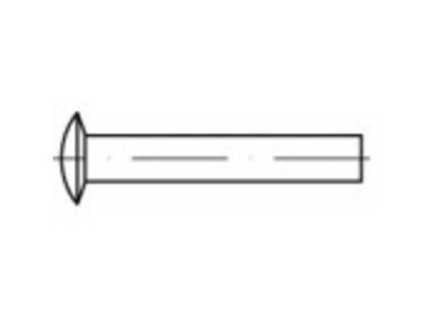 TOOLCRAFT 112343 nagler med forsænket/linsehode Ø x L 4 mm x 12 mm stål (1000 stk.)