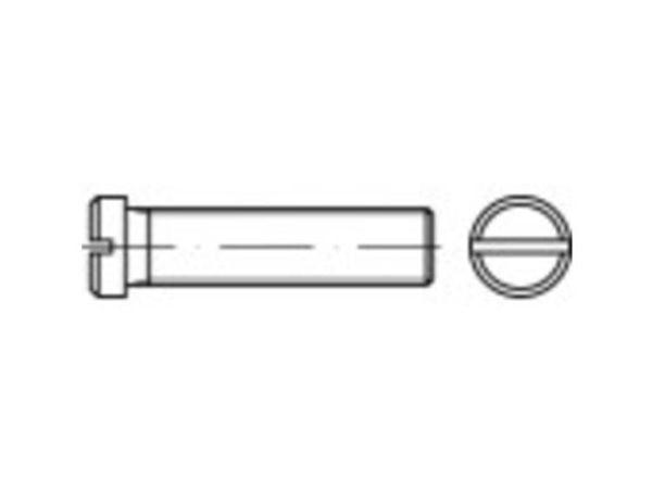 TOOLCRAFT 118891 skruer med flatt hode M4 6 mm sliss DIN 920 stål galvanisert 100 stk