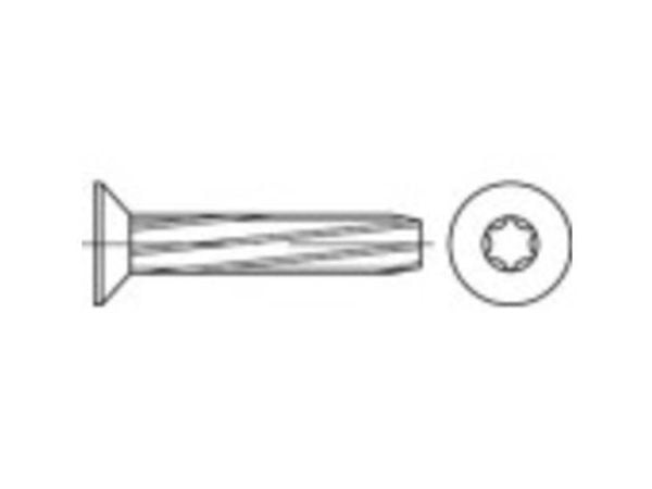TOOLCRAFT 141886 plateskruer M6 45 mm T-profil DIN 7516 stål galvanisert 500 stk