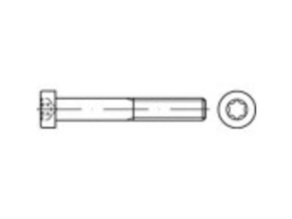 TOOLCRAFT 145846 sylinderskruer M8 12 mm T-profil DIN 7984 stål galvanisert 200 stk