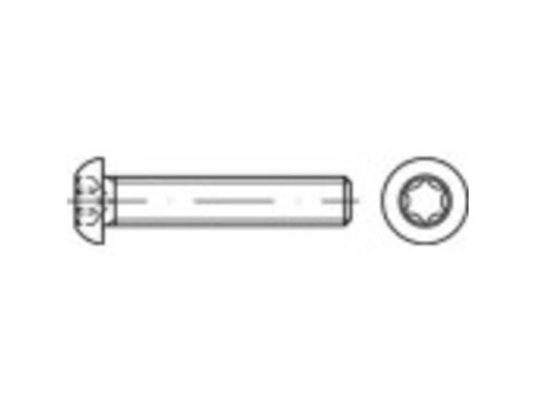 TOOLCRAFT 148239 linsehodeskruer M6 16 mm T-profil stål galvanisert 500 stk