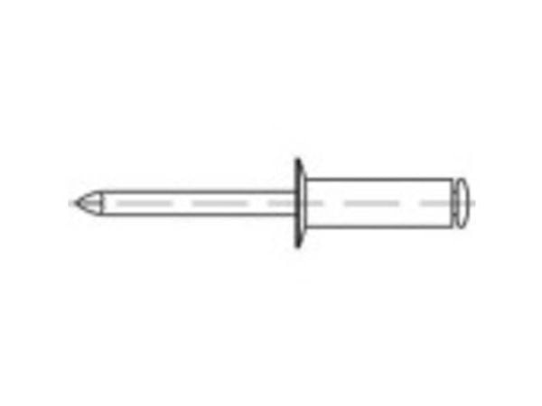 TOOLCRAFT 160304 Åpen blindnagle (Ø x L) 5 mm x 12 mm Aluminium Stål 500 stk