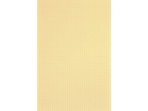 Rademacher WR-Typ 716-5 Kretskort uten Cu-belagging Papp/Hardpapir (L x B) 16 x 10 cm Rutenett 2,5 mm, 1 stk