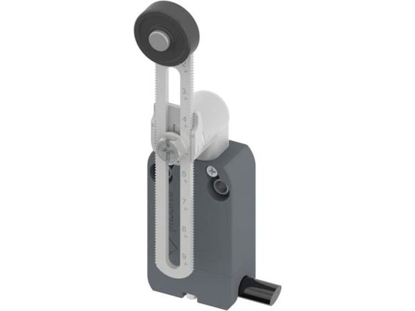 Pizzato Elettrica NF B112KP-DN2 NF B112KP-DN2 Rajakytkin 250 V/AC 4 A Rullakääntövarsi Painonappi IP67 1 kpl