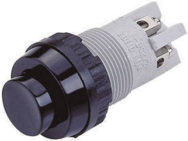 RAFI 101102001.0301 Painike 250 V/AC 2 A 2 x Pois/(Päälle) Kosketus 1 kpl