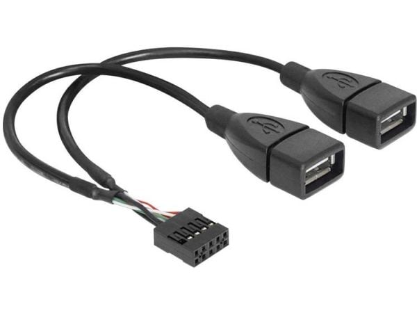 Delock - Intern-til-ekstern USB-kabel - USB (hunn) til 9-pins USB-header (hunn) - 20 cm