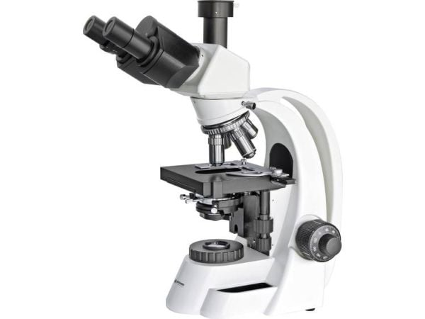 Bresser Optics BIOSCIENCE 40-1000X, Digitalt, Sort, Hvit, 1000x, 40x, Halogen, AC