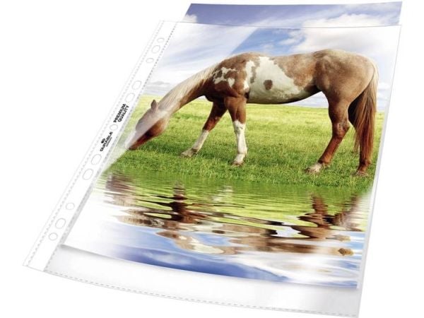 Durable 267719, Transparent, 50 styck