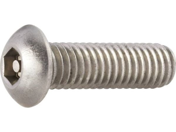 Toolcraft 886975, Ruuvi, Ruostumaton teräs, M6, Pyöreä pää, Hopea, 2,5 cm