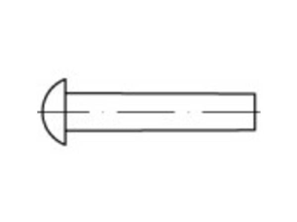 TOOLCRAFT 1061615 halvrunde nagler (Ø x L) 3 x 4 mm rustfritt stål 200 stk