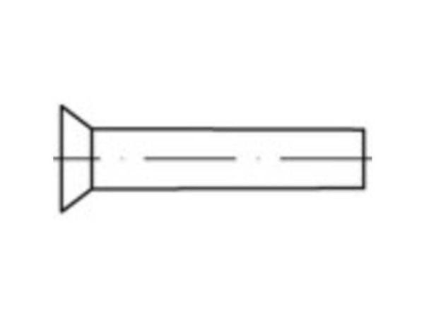 TOOLCRAFT 1061658 senkespiker (Ø x L) 4 mm x 12 mm rustfritt stål 100 stk