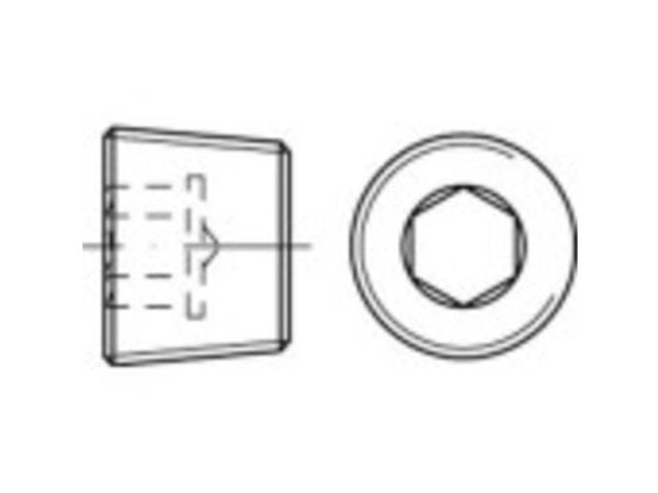 TOOLCRAFT 1061742 låseskruer 1/4" innvendig sekskant DIN 906 rustfritt stål A4 50 stk