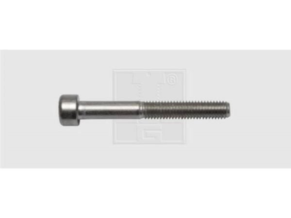 SWG insexskruvar M6 16 mm DIN 912 rostfritt stål A2 50 st