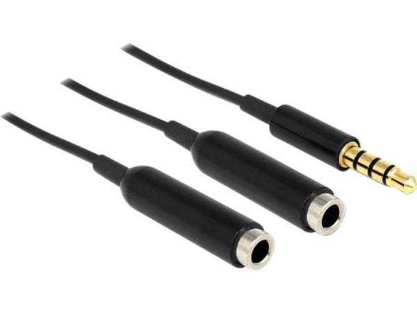 DeLOCK 65575, 3.5mm, Uros, 2 x 3.5mm, Naaras, 0,25 m, Musta