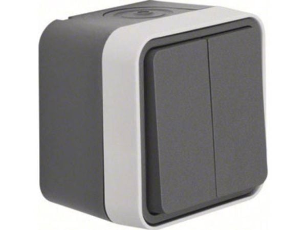 Berker 30753505, Knapper, Grå, 10 A, 250 V