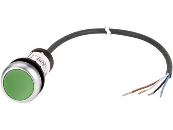 Eaton 185670 C22-D-G-K10-P62 Painonappi litteä Vihreä 1 kpl